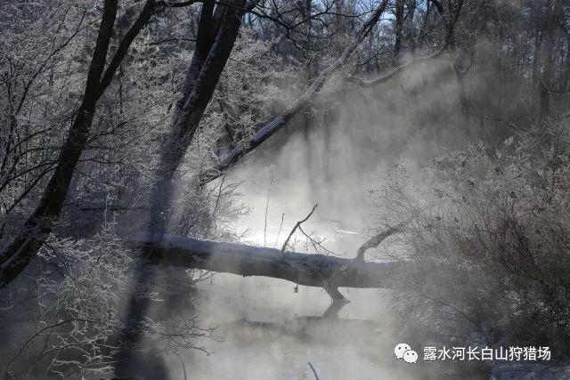 极速赛车找不同