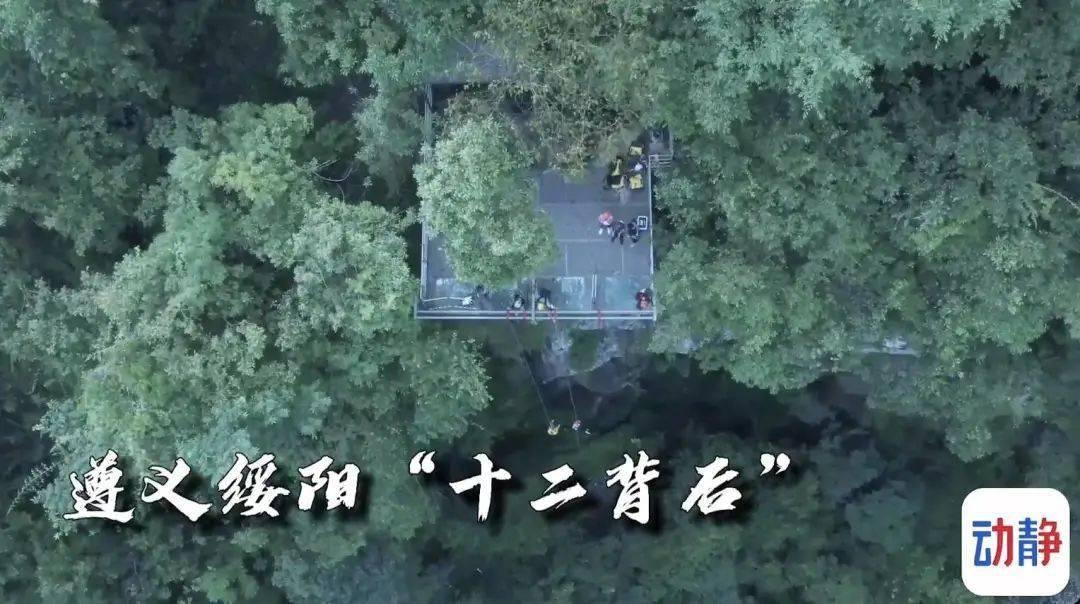 《幻兽帕鲁》24 小时在线峰值突破40万