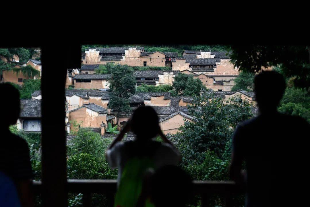“死”人也能生孩子?巴西女子脑死亡123天,竟成功生下龙凤胎