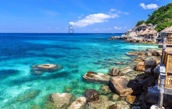 “庭院经济+”拓宽增收路
