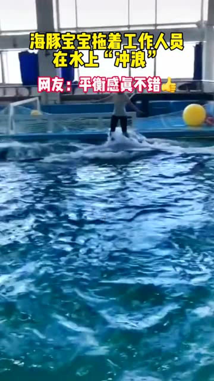 五彩猫碰碰碰