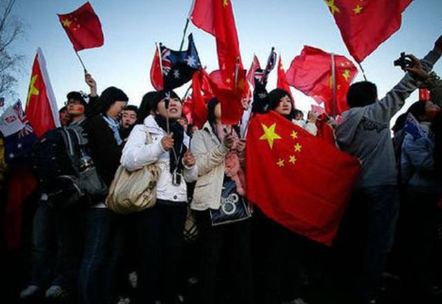 可爱小猫向上跳