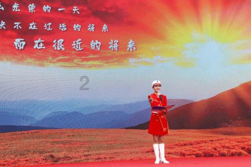 口袋森林世界杯防守战