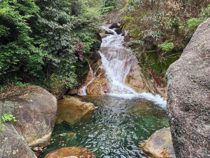 异星探险家
