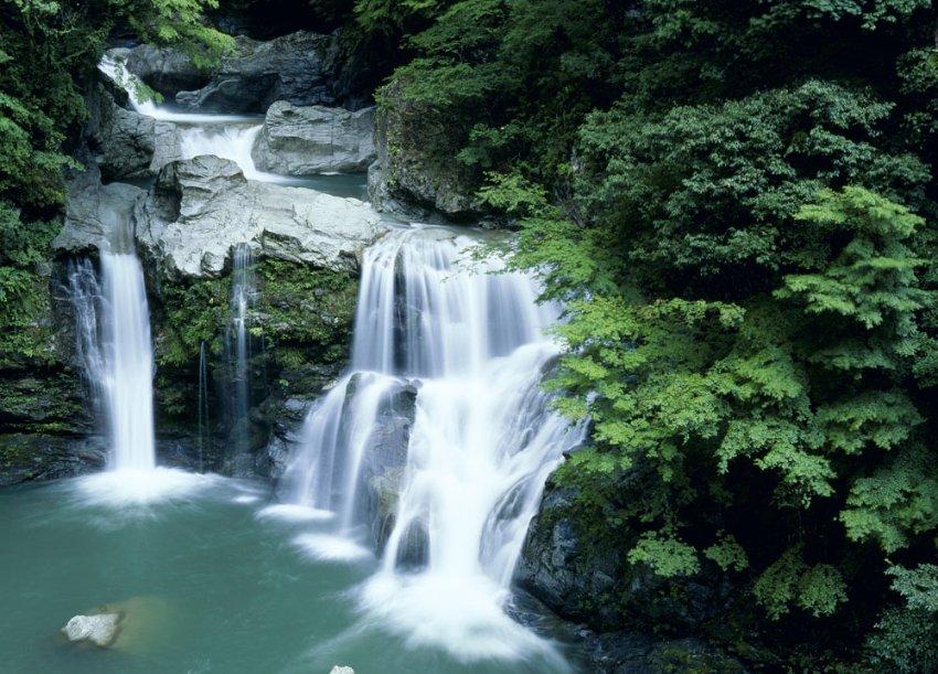 《原神》夏沃蕾圣遗物选择攻略