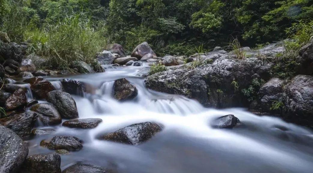 卡通骆驼救援