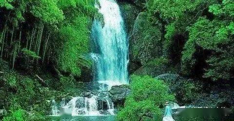 水果时尚风格