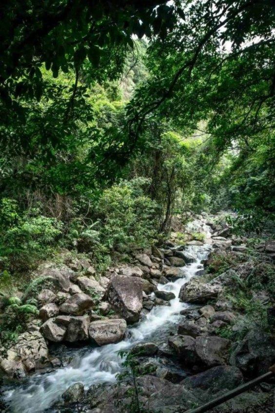 探索知识星球,加入怎么打印学信网学籍证明,共享学习乐趣
