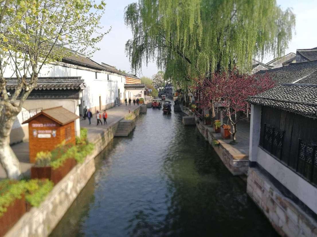 植物大战僵尸16