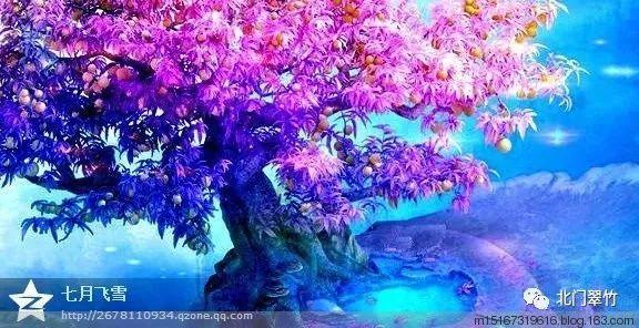 夏日课堂